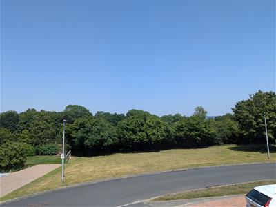 Picture 15
